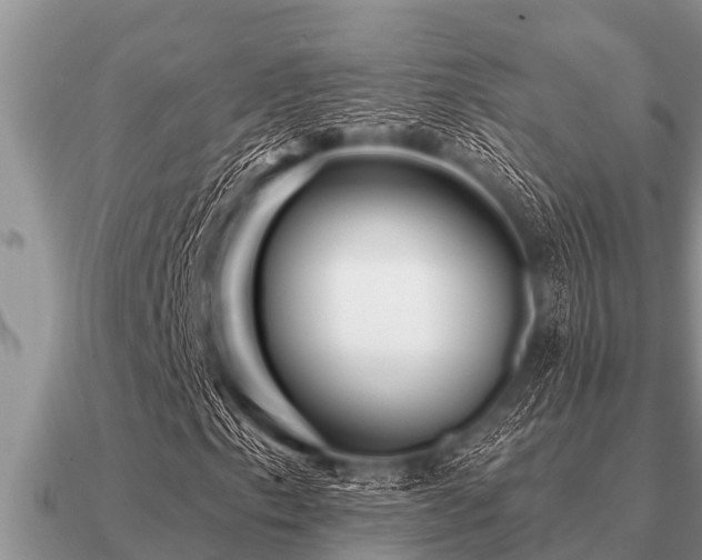 X0000091091153200708061631