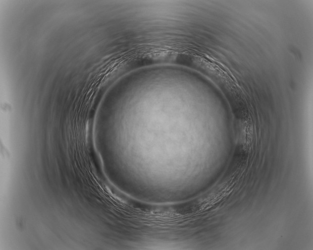 X0000091091154200708061631