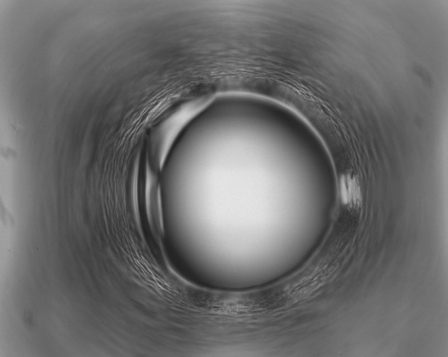 X0000091091155200708061631