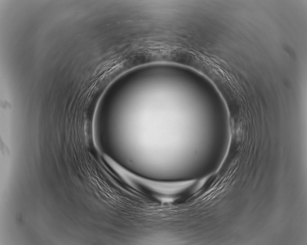 X0000091091156200708061631