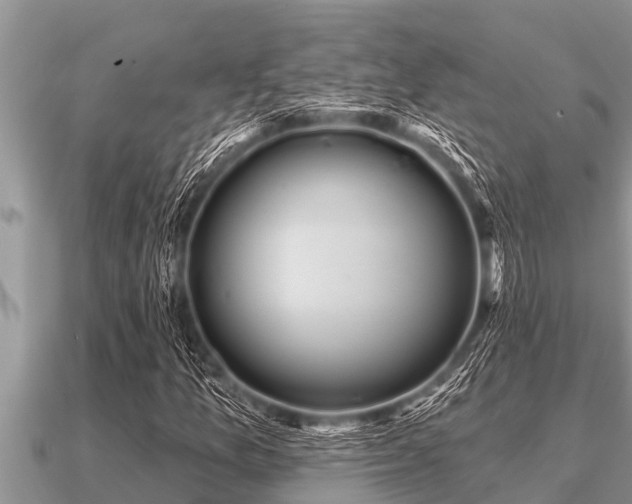 X0000091091157200708061631