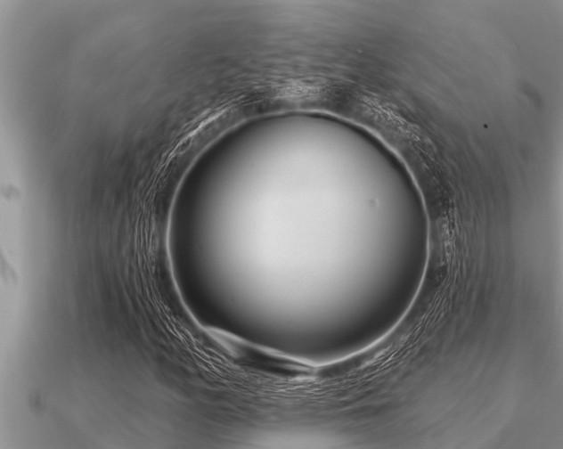 X0000091091158200708061631