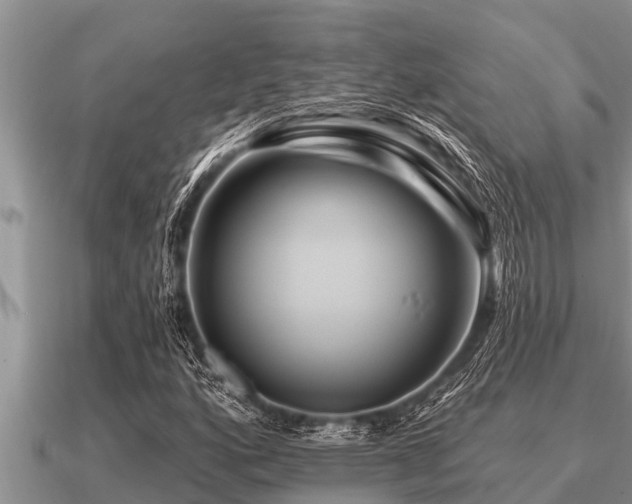 X0000091091160200708061631
