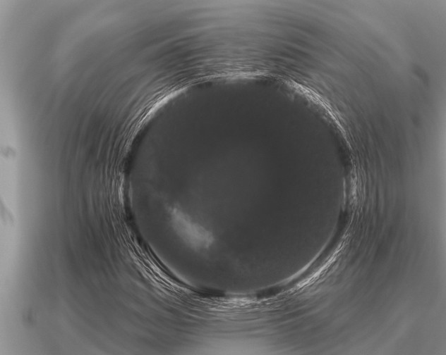 X0000091091161200708061631