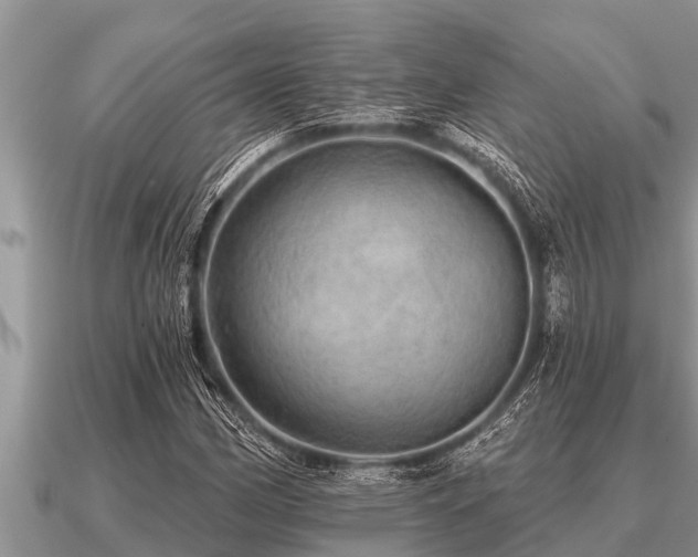 X0000091091162200708061631
