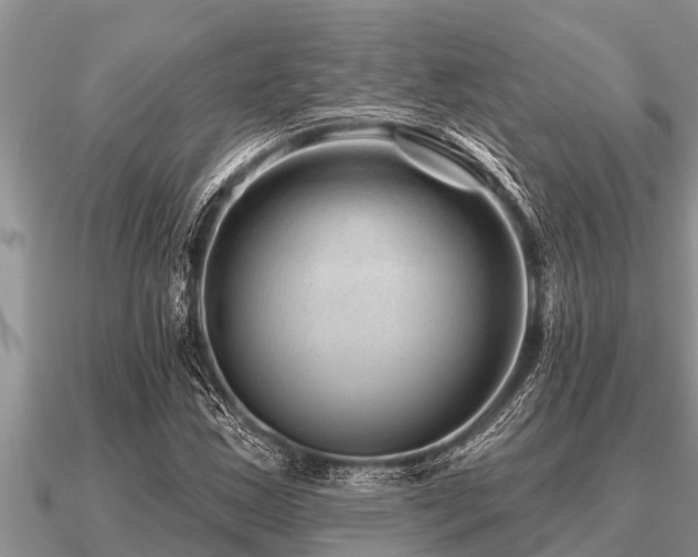 X0000091091163200708061631