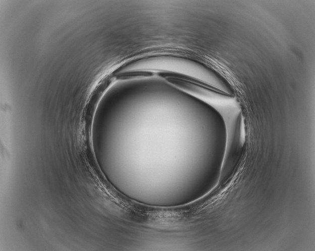 X0000091091164200708061631