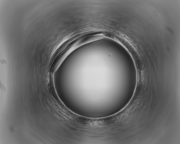 X0000091091165200708061631