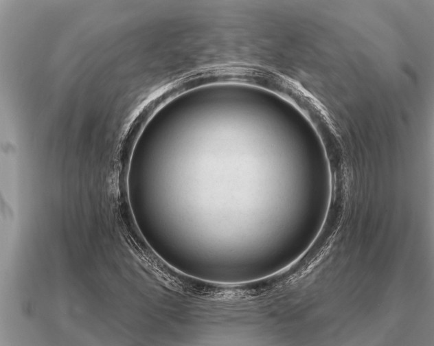 X0000091091166200708061631