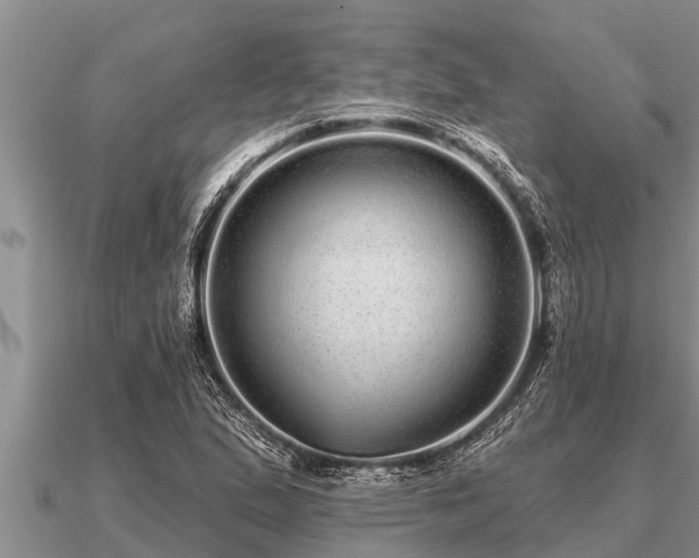 X0000091091167200708061631