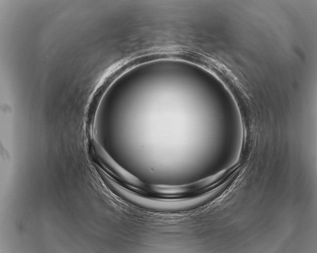 X0000091091168200708061631