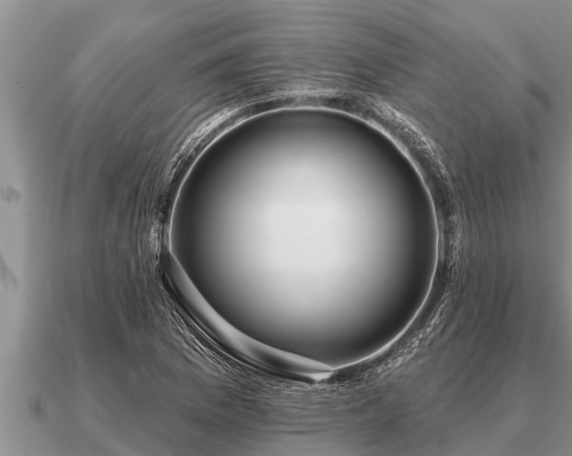 X0000091091169200708061631