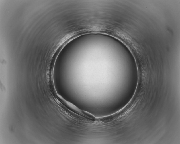 X0000091091170200708061631