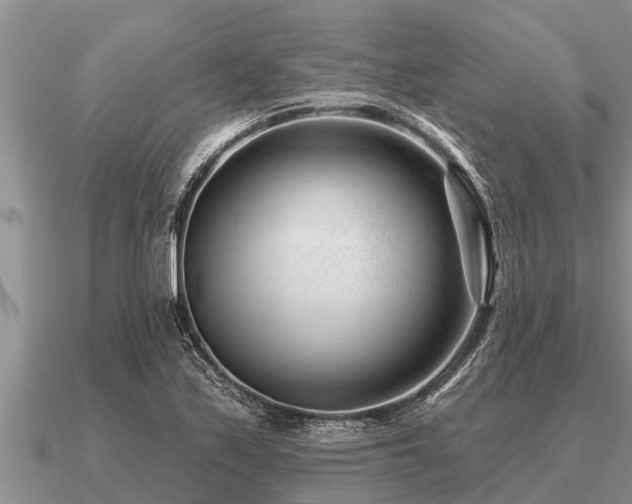 X0000091091171200708061631