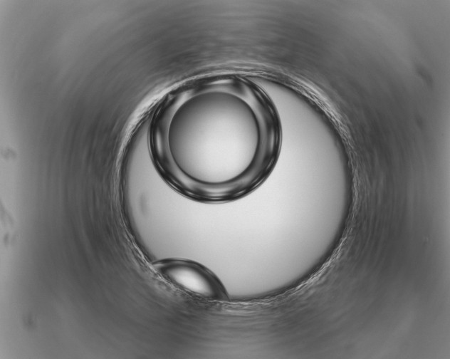 X0000091091172200708061631