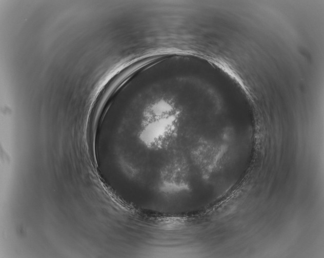 X0000091091173200708061631