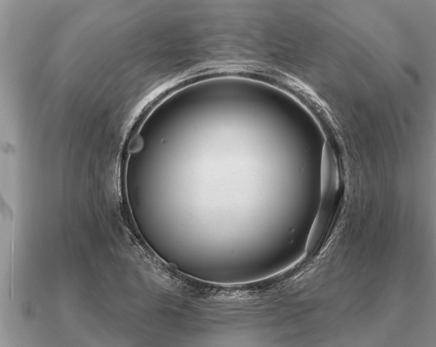 X0000091091174200708061630