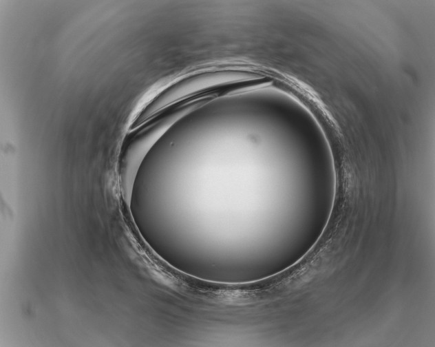 X0000091091176200708061630