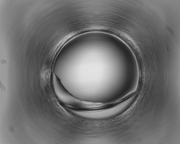 X0000091091177200708061630