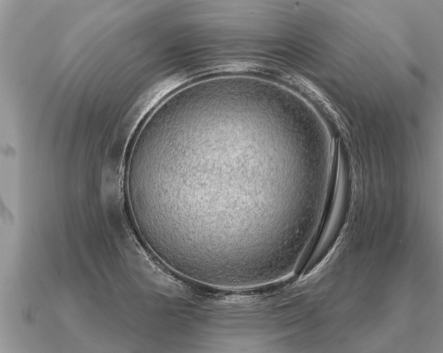 X0000091091178200708061630