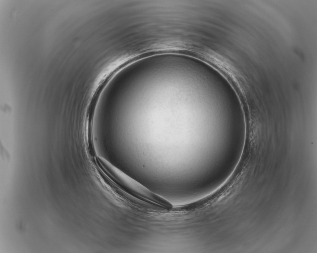 X0000091091179200708061630