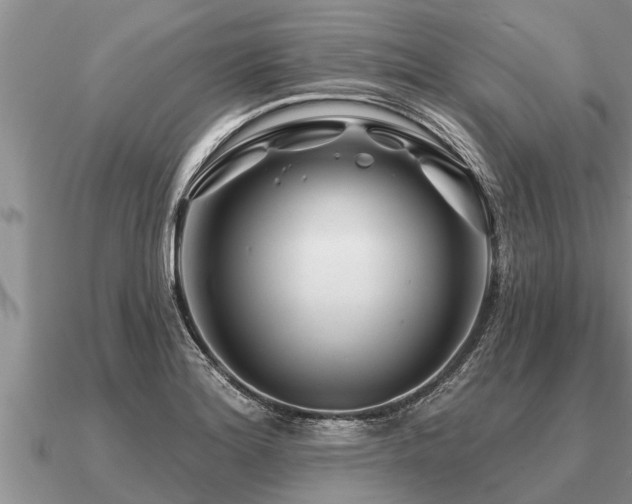 X0000091091180200708061630