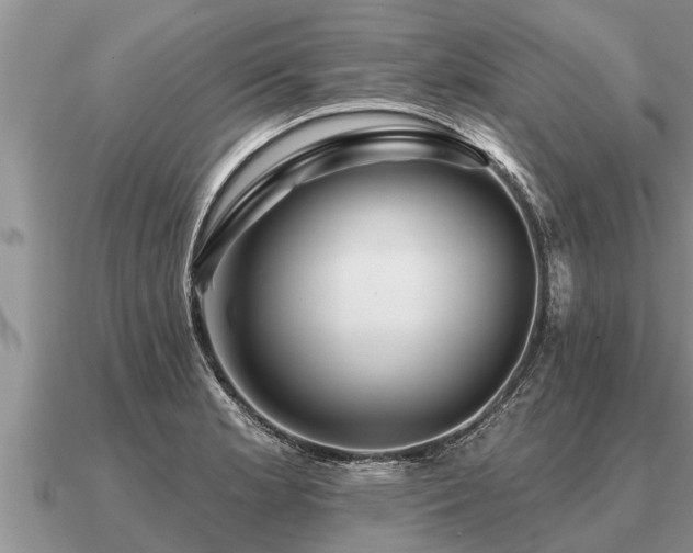 X0000091091181200708061630