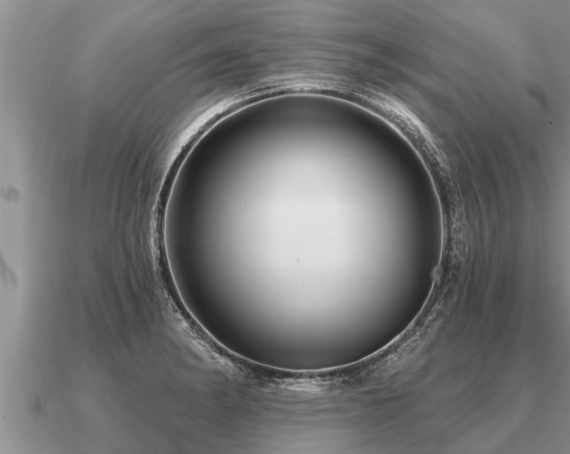 X0000091091182200708061630