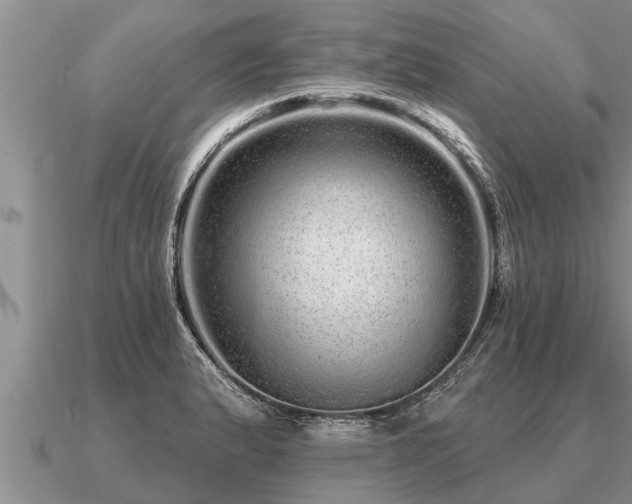 X0000091091183200708061630