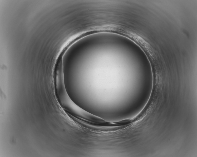 X0000091091184200708061630