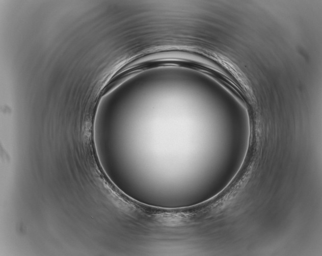 X0000091091185200708061630