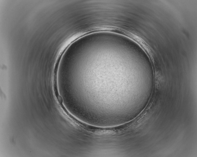 X0000091091187200708061630