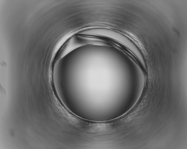 X0000091091188200708061630
