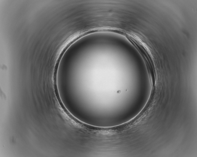 X0000091091189200708061630