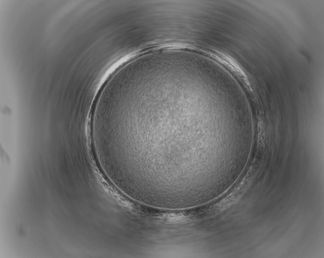 X0000091091190200708061630