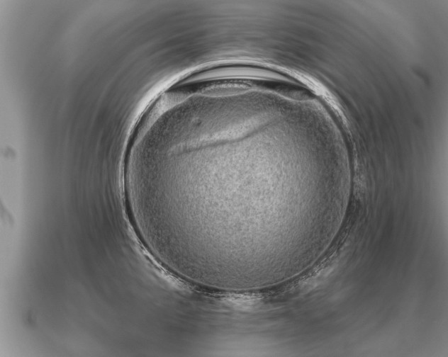 X0000091091191200708061630