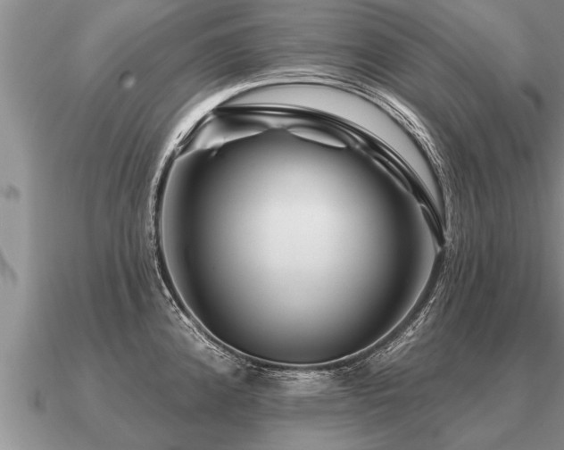 X0000091091192200708061630