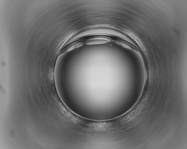 X0000091091193200708061630
