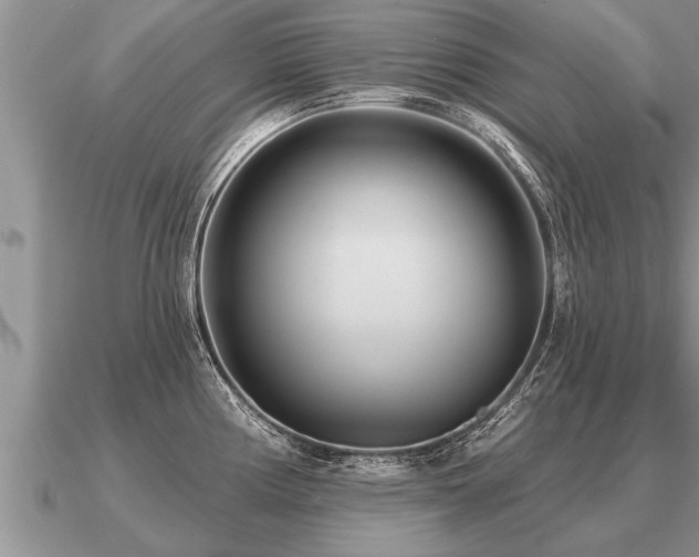 X0000091091194200708061630