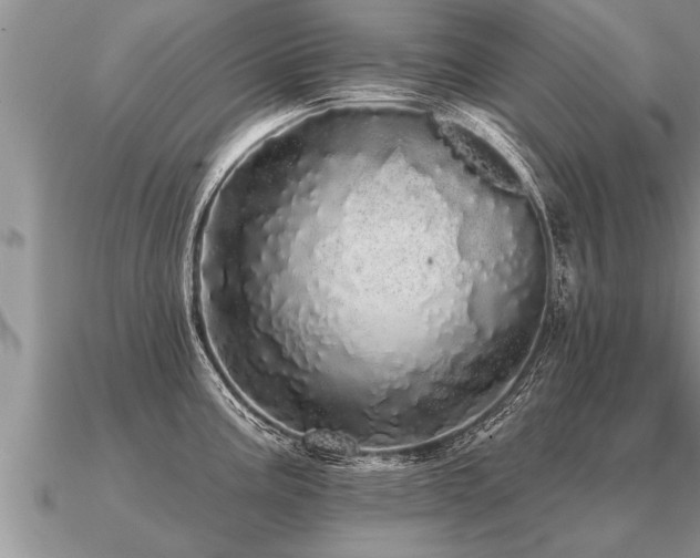 X0000091091195200708061630