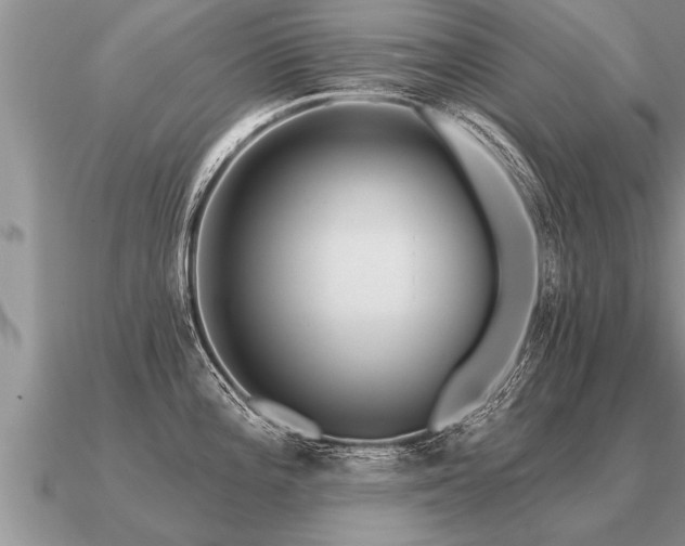 X0000091091196200708061630
