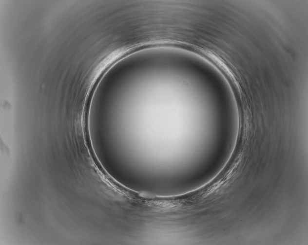X0000091091197200708061630