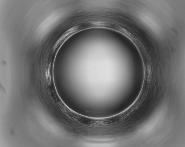 X0000091091198200708061630