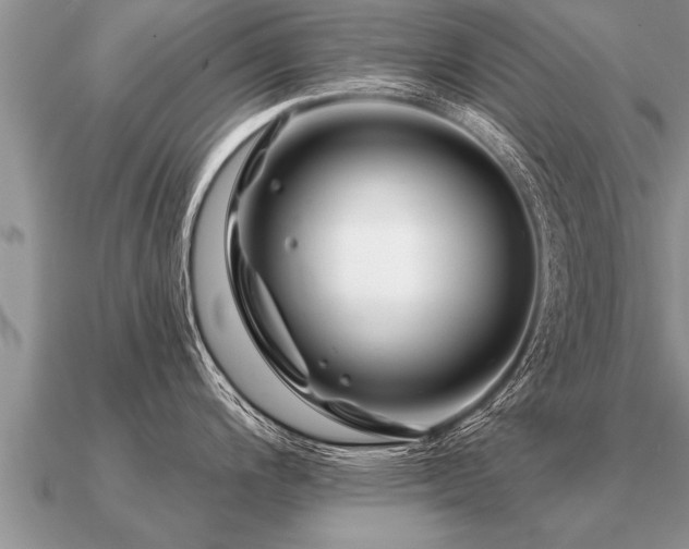 X0000091091200200708061630