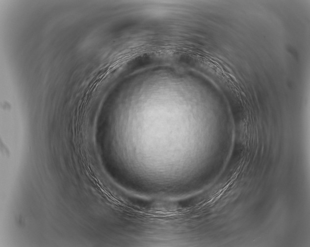 X0000091091201200708061630