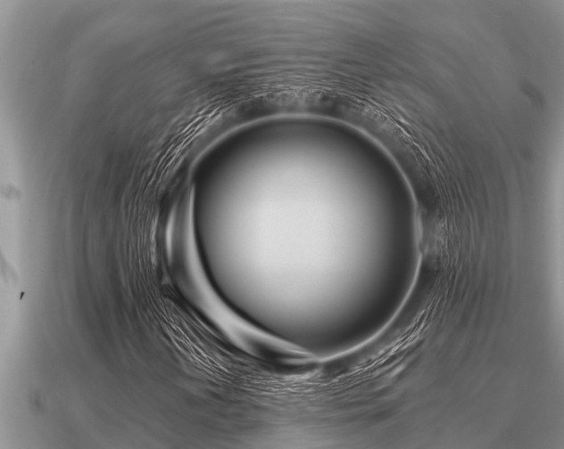X0000091091202200708061630
