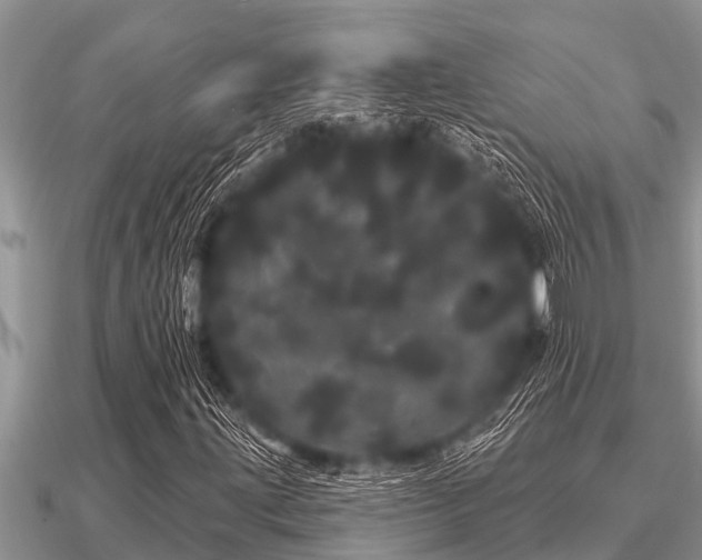 X0000091091203200708061630