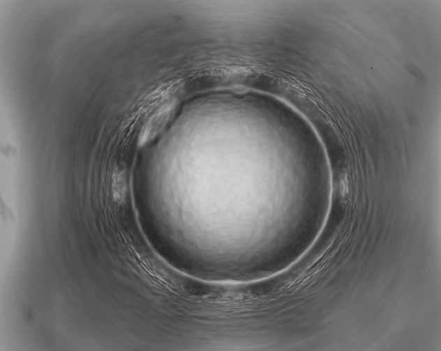 X0000091091204200708061630