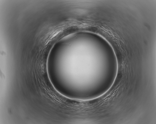 X0000091091205200708061630