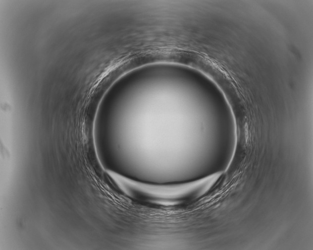 X0000091091206200708061630